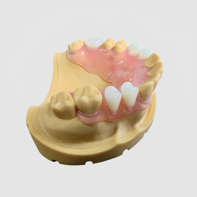 China Flexible Denture Manufacturing Service