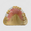 China Flexible Denture Manufacturing Service
