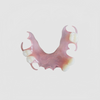 China Flexible Denture Manufacturing Service