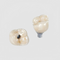 Dental Implants Company