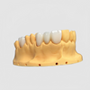 Zirconia Crowns Manufacturer